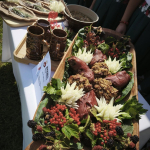 BR-Janow-Podlaski_09082025-6