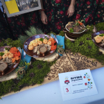 BR-Janow-Podlaski_09082025-7