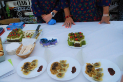 male_podkarpackie_Ietap-BR_4.12-81